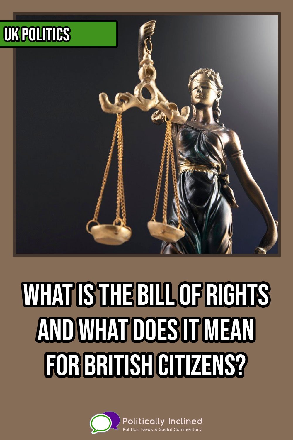 https://www.politicallyinclined.net/wp-content/uploads/2022/06/pin-bill-of-rights-uk.jpg